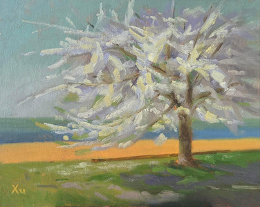Whispers of Spring Light