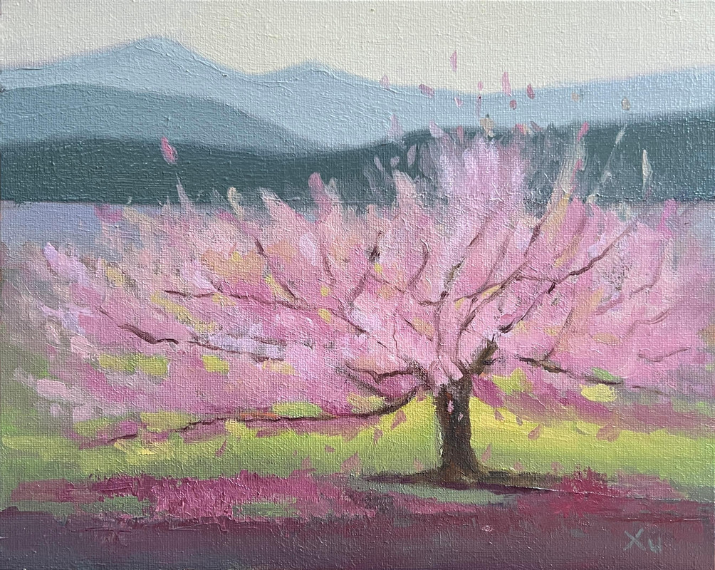 Cherry Blossom Reverie