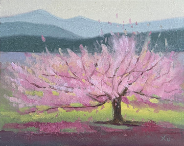 Cherry Blossom Reverie
