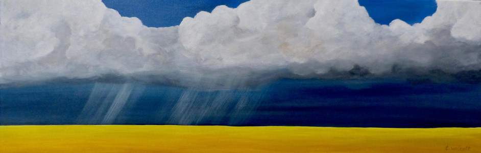 Stormy Canola Field