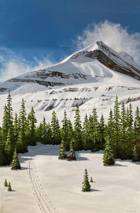 Winter in the Kananaskis