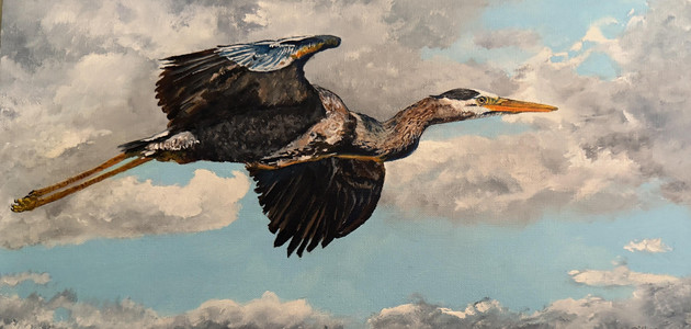 The long Glide