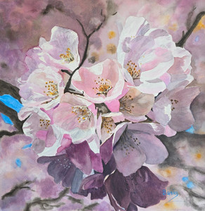 Cherry Blossoms Galore