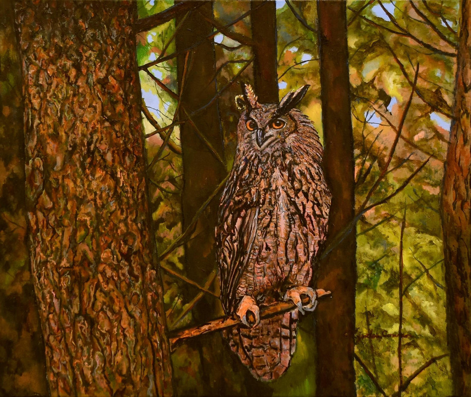 The Watcher