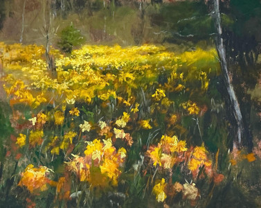 Daffodil Field Viaduct Flats