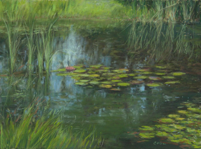 Waterlilies Plein Air