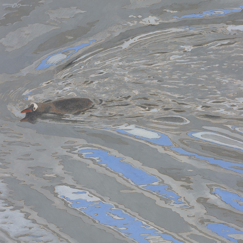 Ripples