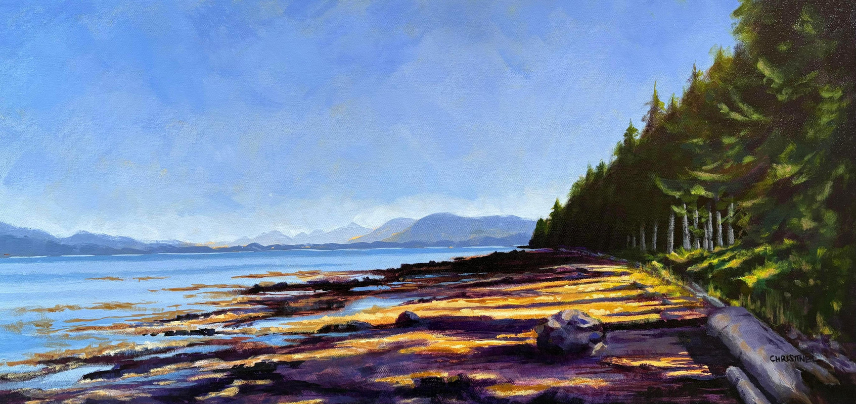 Afternoon Light