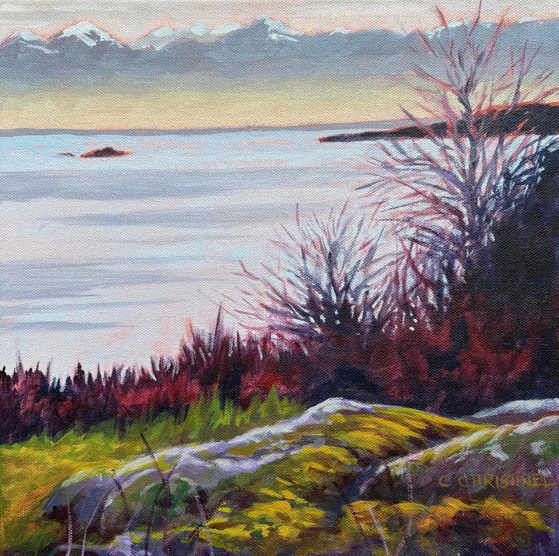 Winter at Cattle Point