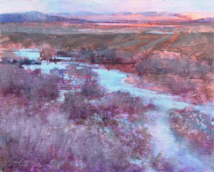 Sue Contini