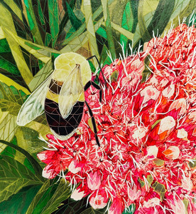 Visiting the Joe-Pye-Weed