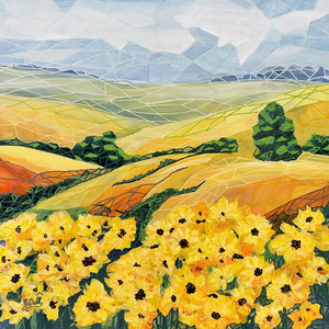 Sunflowers in the Haut Garonne