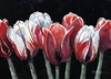 View #1