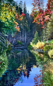 The Pond