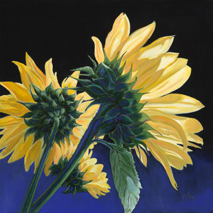 Fleurs du Soleil