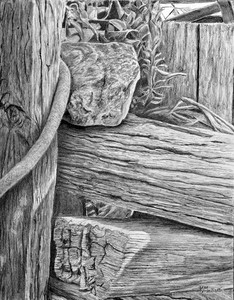 "Sitting on the Fence"
