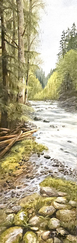 Lynn Valley Flow