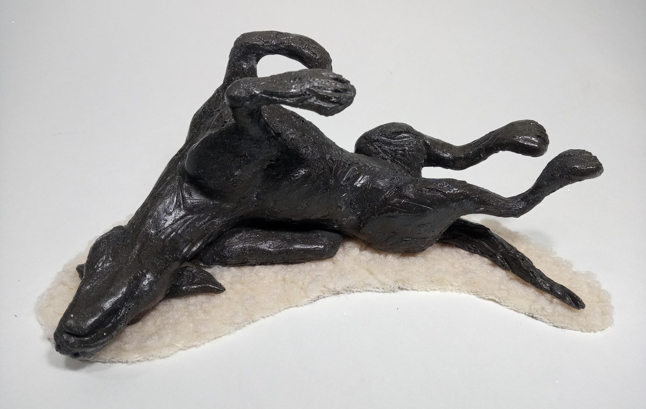 Sleepy Dog