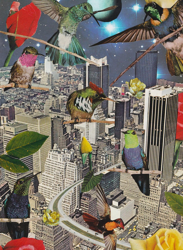 City of Rebirth