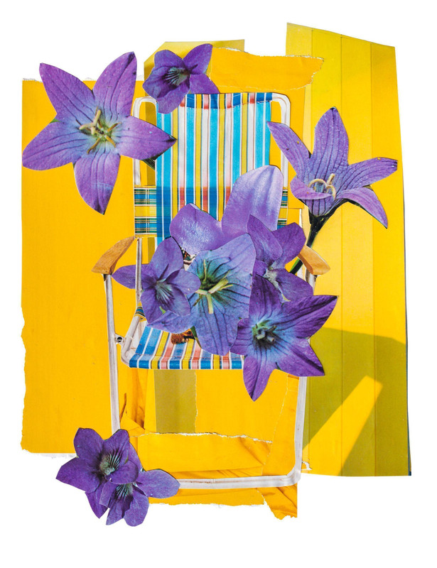 Violet Summer
