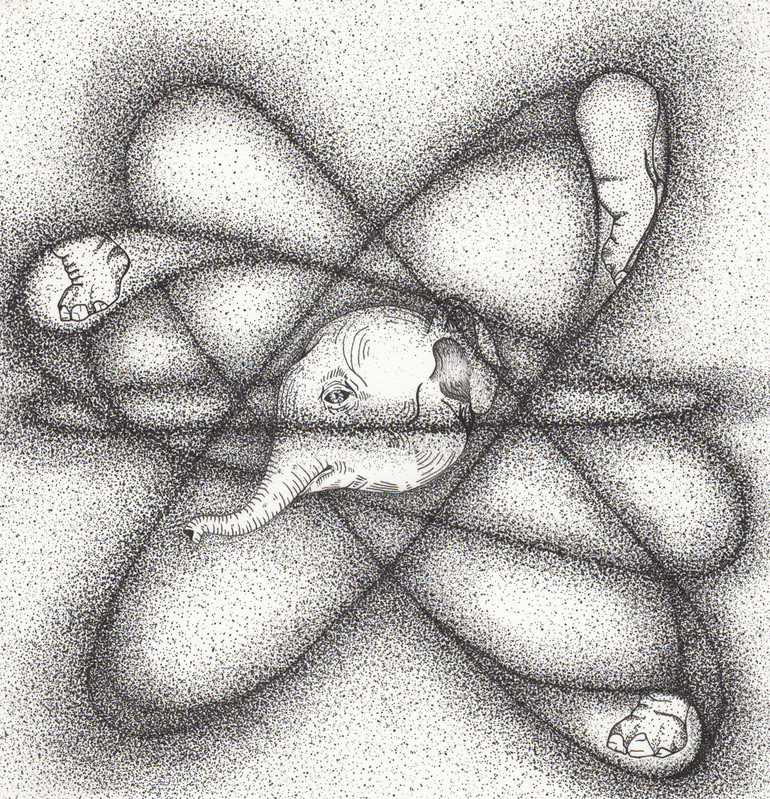 Meitner Atom