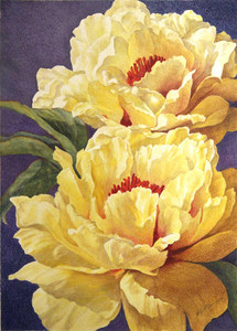 Yellow Tree Peonies 2023