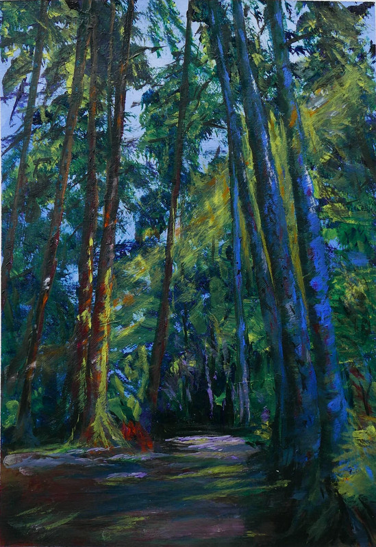 Tranquility in the Forest