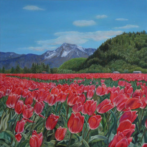 Tulip Fields