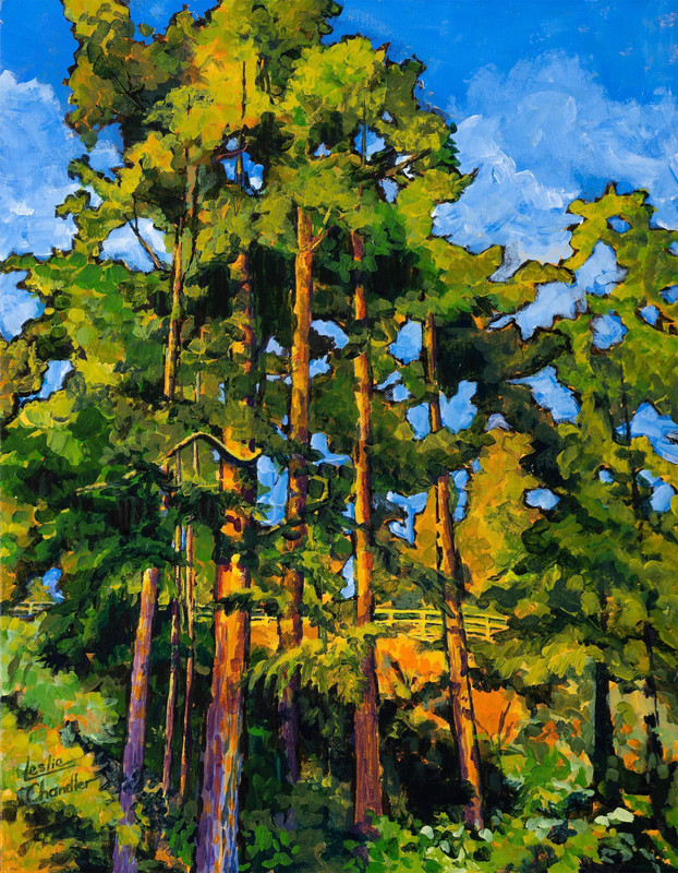 Towering Cedars