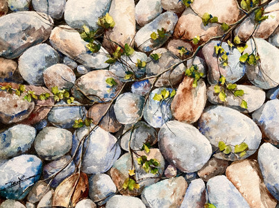 Stones with Sprouts