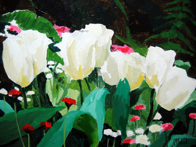 White Tulips