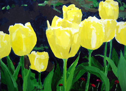 Yellow Tulips