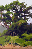 View #1