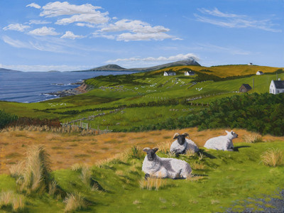 Three Sheep on the Irish Shore