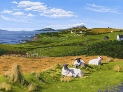 Three Sheep on the Irish Shore