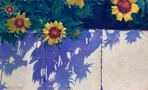 The Flower and the Shadows No5