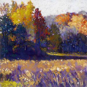 Walk in Cootes Paradise VI