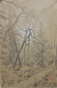 Out of the Mist