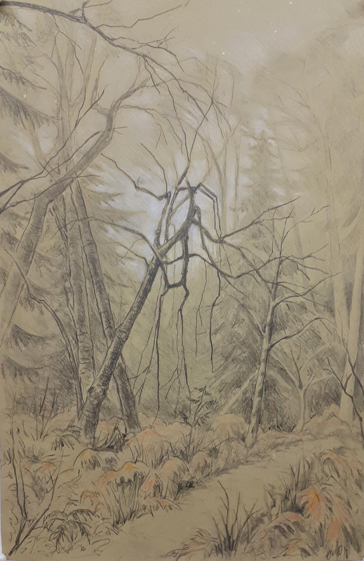 Out of the Mist