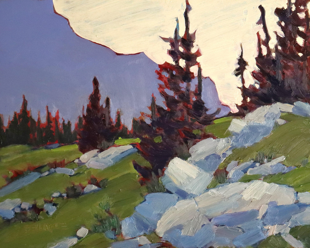 Evening, McArthur Meadows