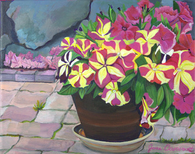 Pleasureful Patio Petunias