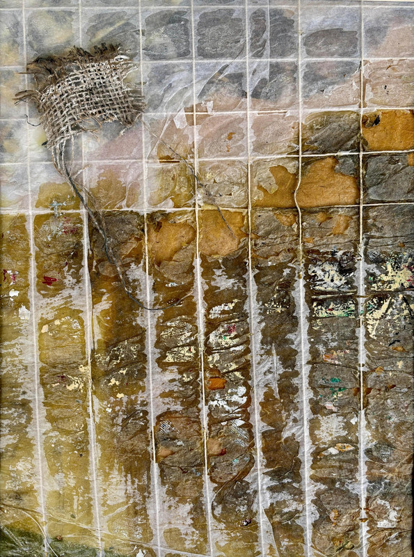 Furtive Glimpses