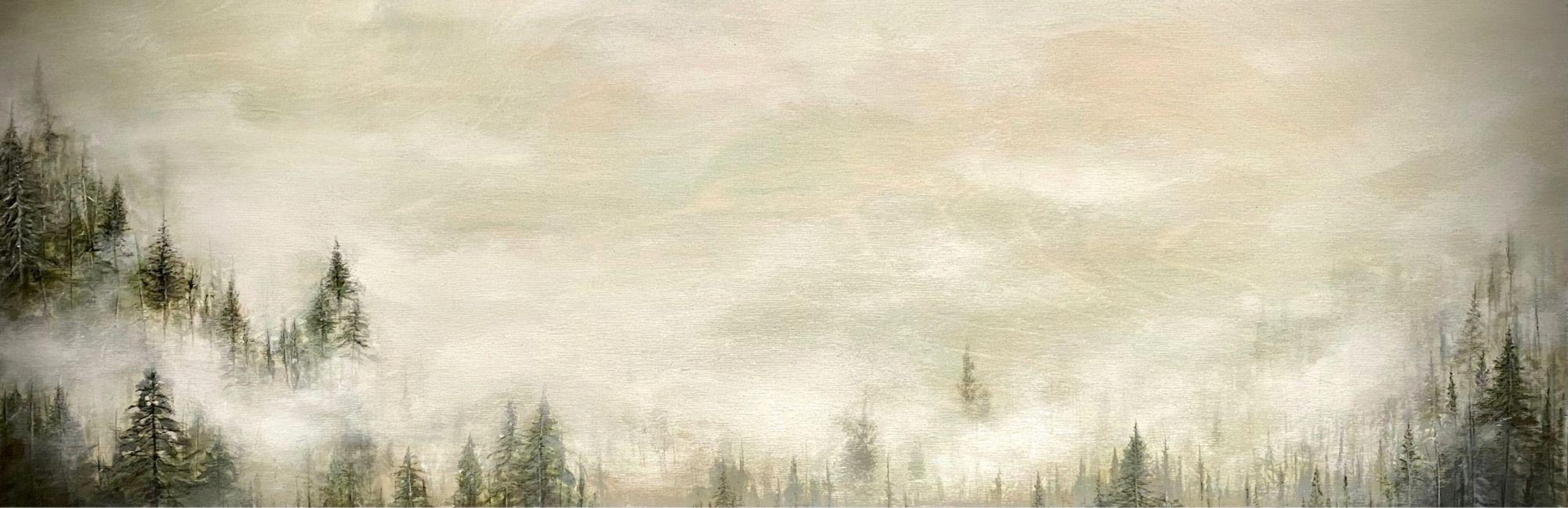 Misty Forest