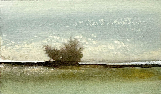 The Island Shrub