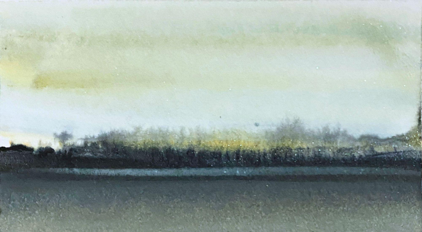 THE DISTANT SHORE