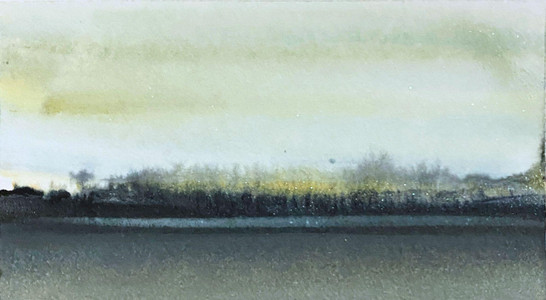THE DISTANT SHORE