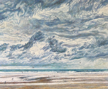 Shorebirds at Deauville