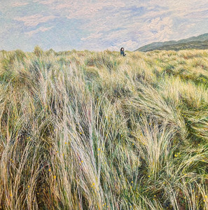 In the Sand Dune Grass