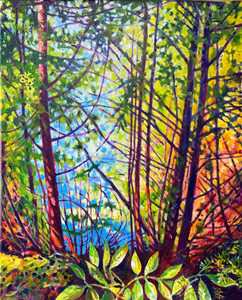 Ravine: overlook