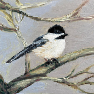 Chickadee